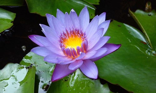 宝宝吐奶到眼睛怎么洗-婴儿把奶吐进眼里怎么办-专业宝宝把奶全部吐出来平台-婴儿吐奶吞进去了怎么办